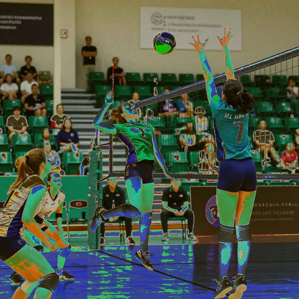 Nhật Bản và cuộc đua vé Olympic 2028: Sức nặng của người khổng lồ châu Á