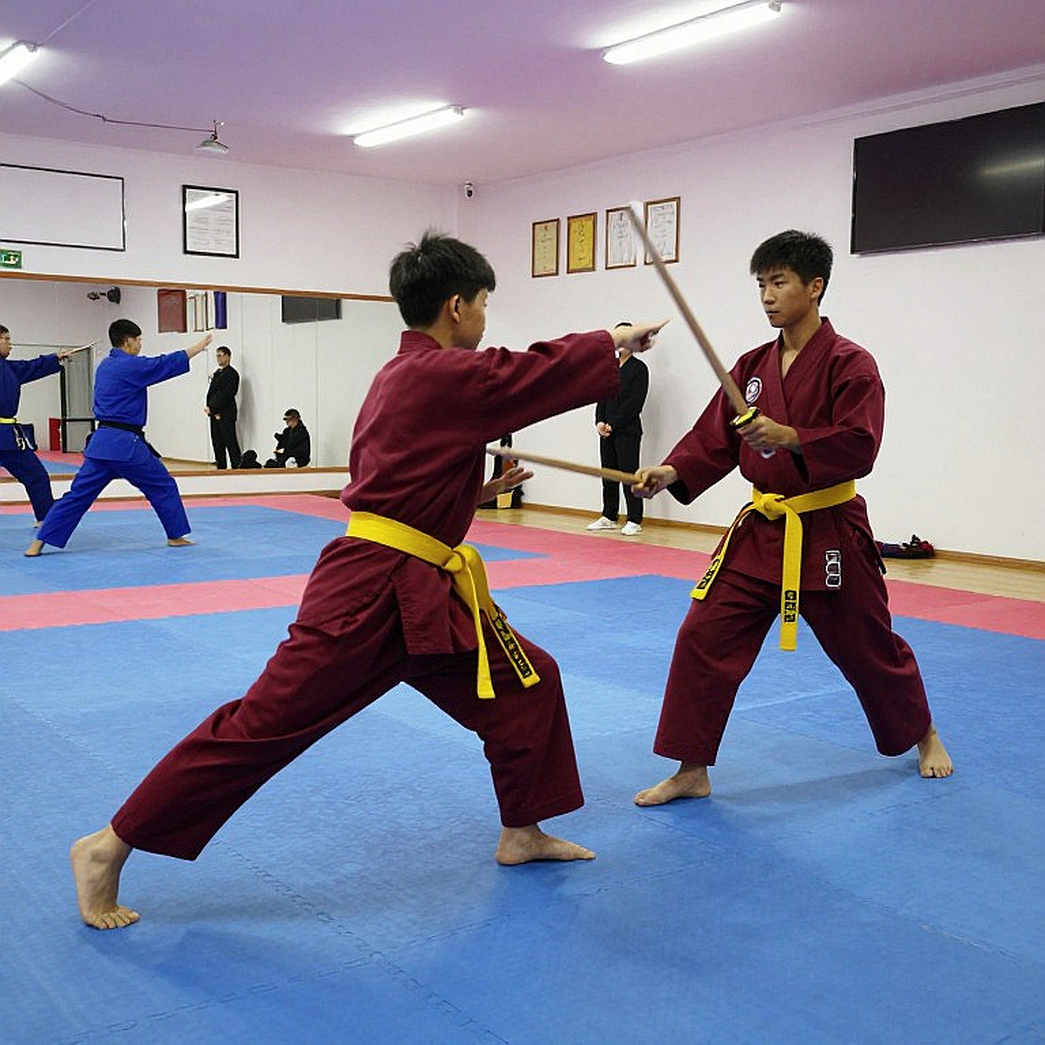 Phân tích thể thao võ thuật: Không thể thực hiện do thiếu thông tin