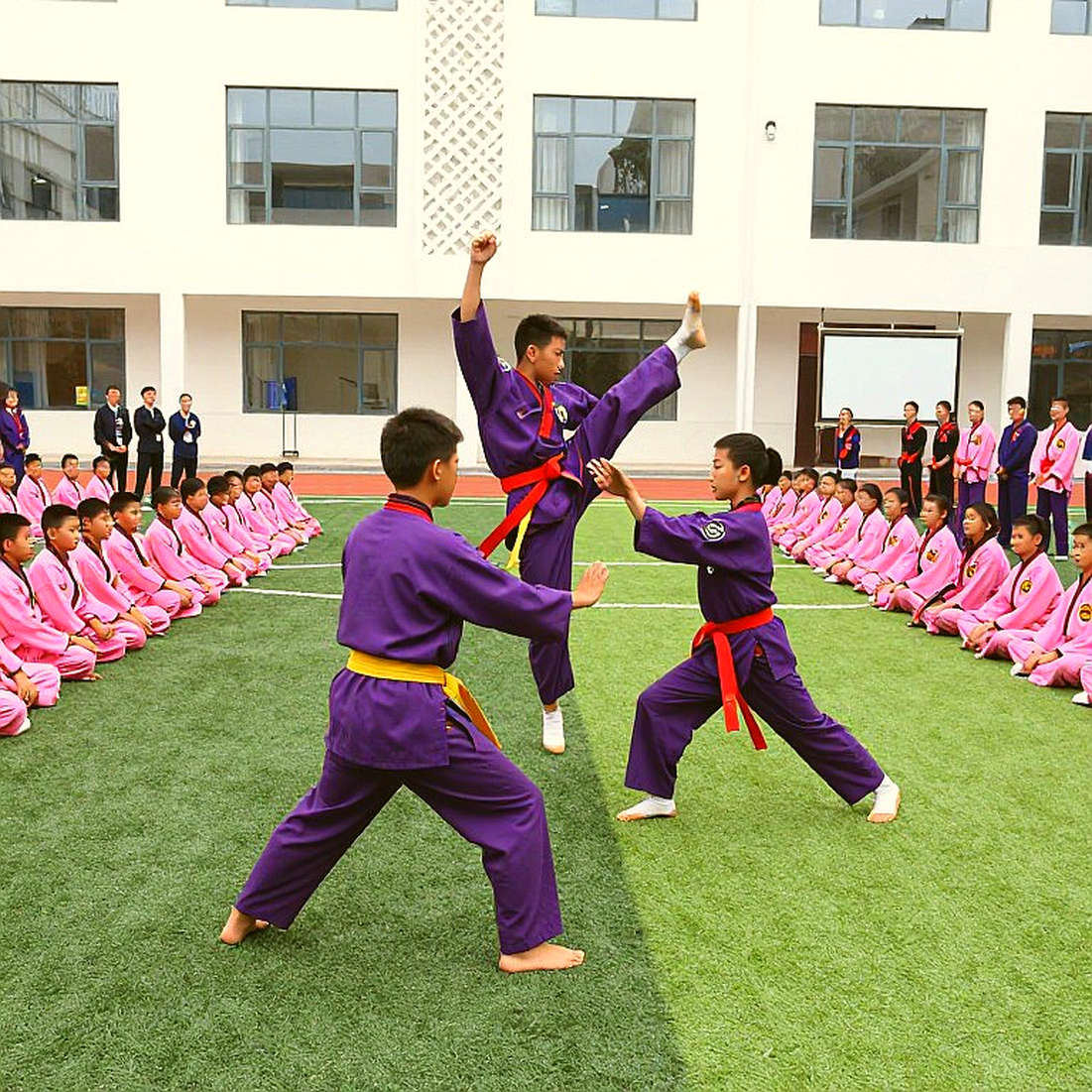 Phân Tích Chuyên Sâu Võ Thuật: Khi Dữ Liệu Đầu Vào Trống Rỗng Và Những Cảnh Báo Về Nguy Cơ Thông Tin