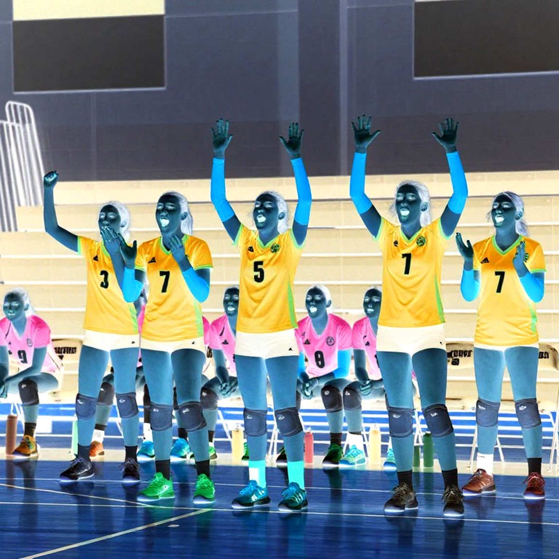 When the Volleyball Data Table Goes Blank: Lessons From a Broken Analytics Pipeline in Milan When the Volleyball Data Table Goes Blank: Lessons From a Broken Analytics Pipeline in Milan