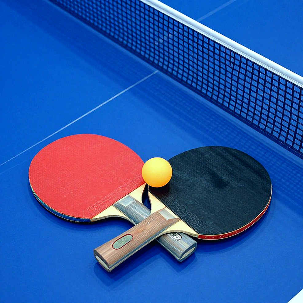 Bóng bàn Trung Quốc và phần còn lại sau Paris 2026: Khoảng cách được xây từ hệ thống đào tạo trẻ Bóng bàn Trung Quốc và phần còn lại sau Paris 2026: Khoảng cách được xây từ hệ thống đào tạo trẻ