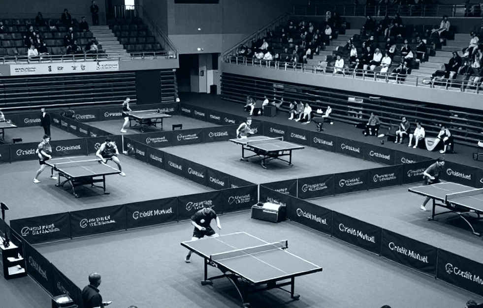 Phân tích Esports: Thiếu dữ liệu nguồn, không thể đánh giá chuyên sâu