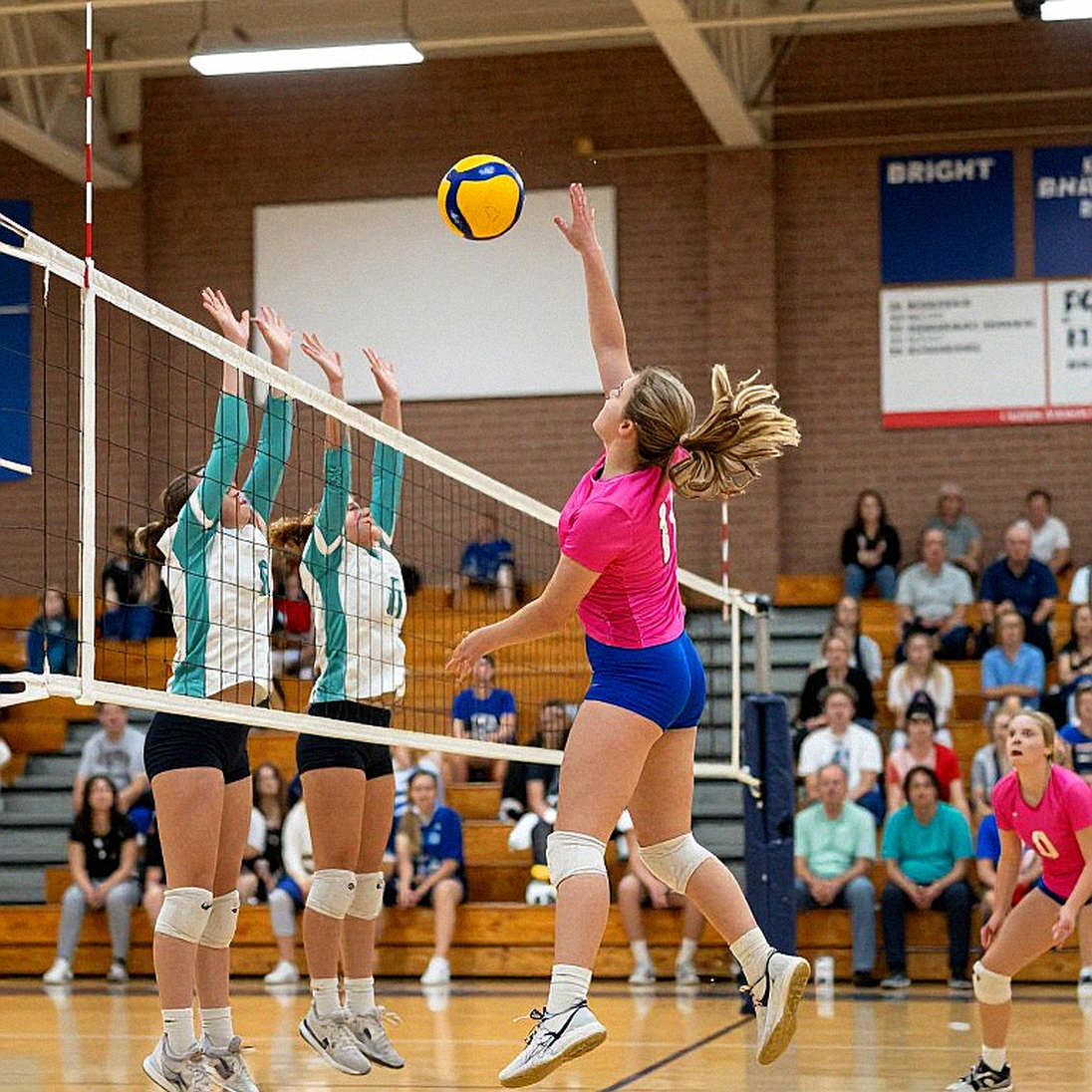 ACC-SEC Challenge: The Cross-Conference Clash Reshaping the NCAA Women's Volleyball Landscape ACC-SEC Challenge: The Cross-Conference Clash Reshaping the NCAA Women's Volleyball Landscape