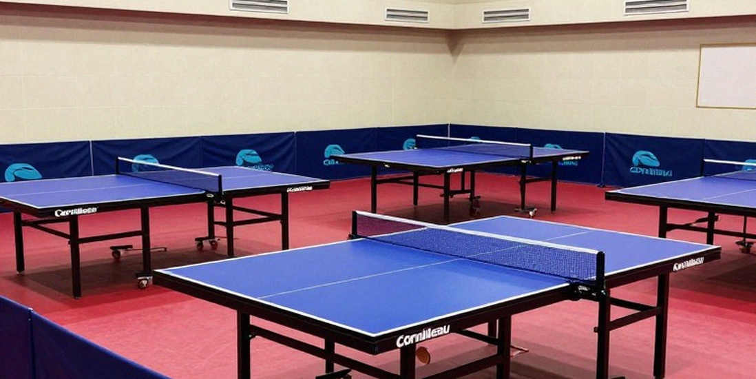 Khoảng cách 9-9: Bóng bàn Việt Nam và nghịch lý ba nhịp đầu