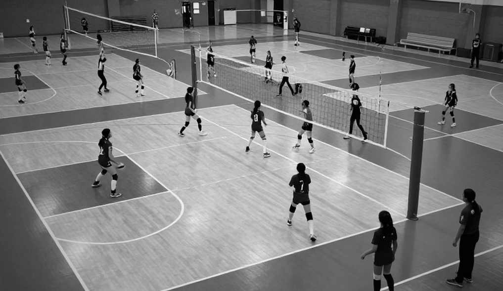 Thổ Nhĩ Kỳ Lật Kịch Tình Bảo Vệ EuroVolley 2026 Trước Ý Tại Istanbul Thổ Nhĩ Kỳ Lật Kịch Tình Bảo Vệ EuroVolley 2026 Trước Ý Tại Istanbul